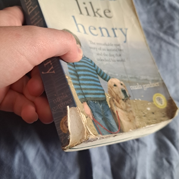 A friend like henry book - Picture 5 of 16